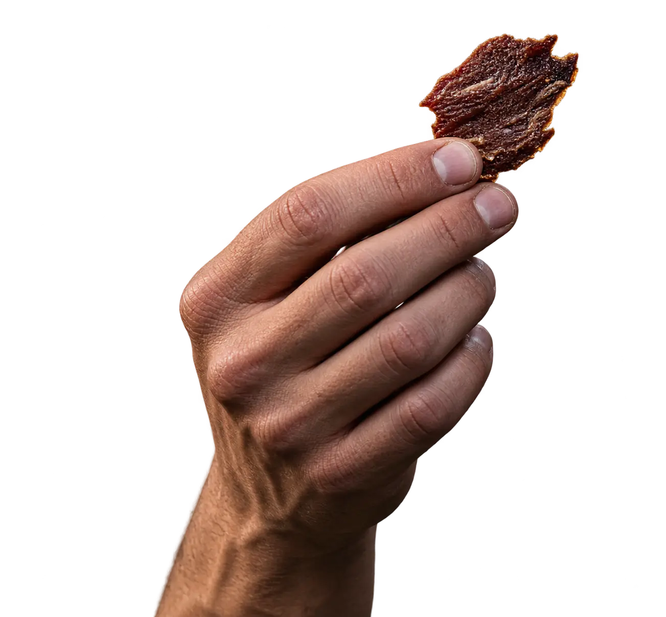 Kúsok FABII jerky v ruke